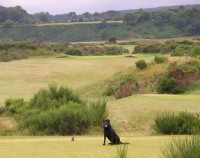 Tain golf club, finest golf courses