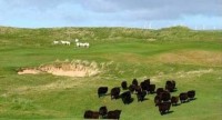 Machrihanish Dunes golf club, finest golf courses review,